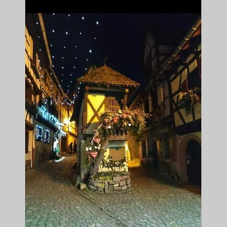 A Proche De Colmar Et Kaysergberg. Apartmán