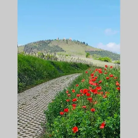 Apartmán A Proche De Colmar Et Kaysergberg.