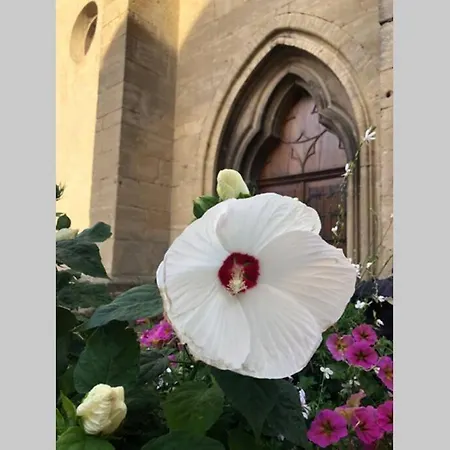 A Proche De Colmar Et Kaysergberg.