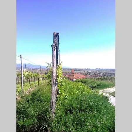 A Proche De Colmar Et Kaysergberg. Эгишем