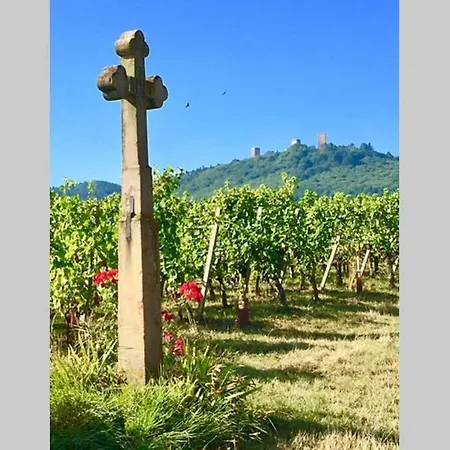 A Proche De Colmar Et Kaysergberg. Eguisheim