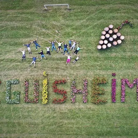 A Proche De Colmar Et Kaysergberg. Apartmán Eguisheim