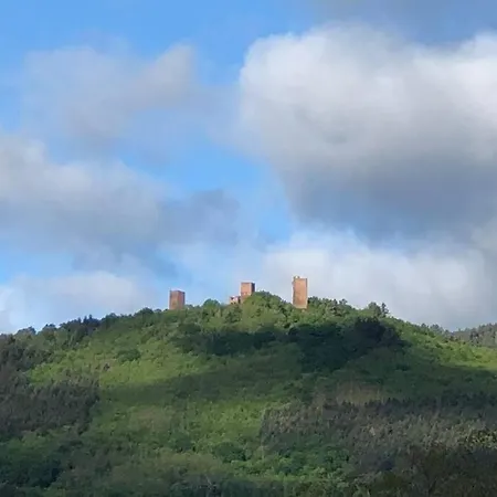 A Proche De Colmar Et Kaysergberg. Apartmán Eguisheim