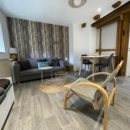 Apartment A Proche De Colmar Et Kaysergberg. *