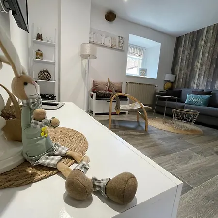 Appartement A Proche De Colmar Et Kaysergberg. Eguisheim