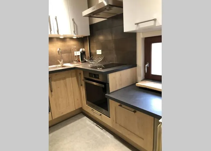 Apartman A Proche De Colmar Et Kaysergberg. *