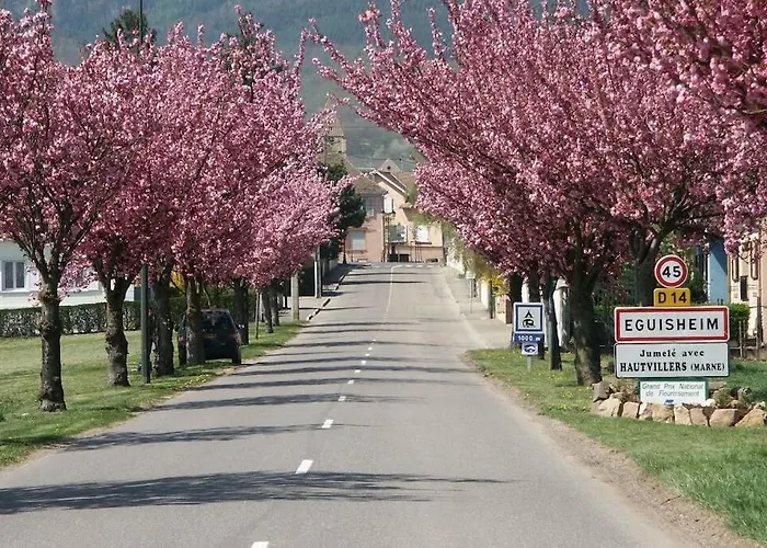 A Proche De Colmar Et Kaysergberg. Eguisheim