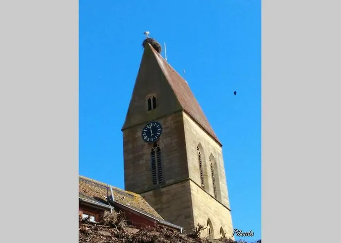 Apartman A Proche De Colmar Et Kaysergberg. *