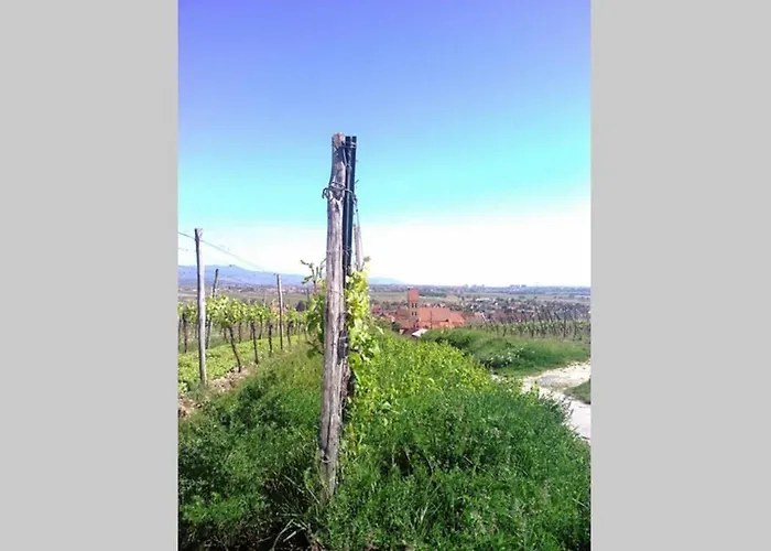 A Proche De Colmar Et Kaysergberg. Eguisheim