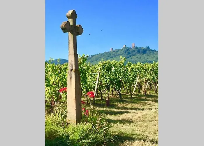 A Proche De Colmar Et Kaysergberg. Eguisheim
