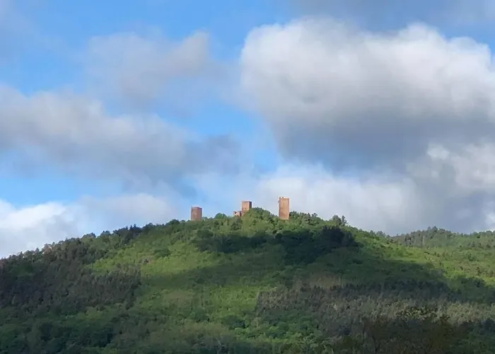 A Proche De Colmar Et Kaysergberg. Apartman Eguisheim