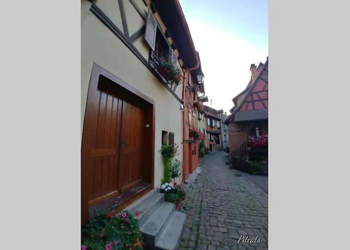 A Proche De Colmar Et Kaysergberg.