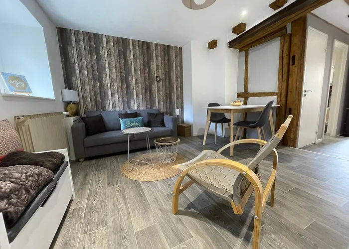 Apartman A Proche De Colmar Et Kaysergberg. *